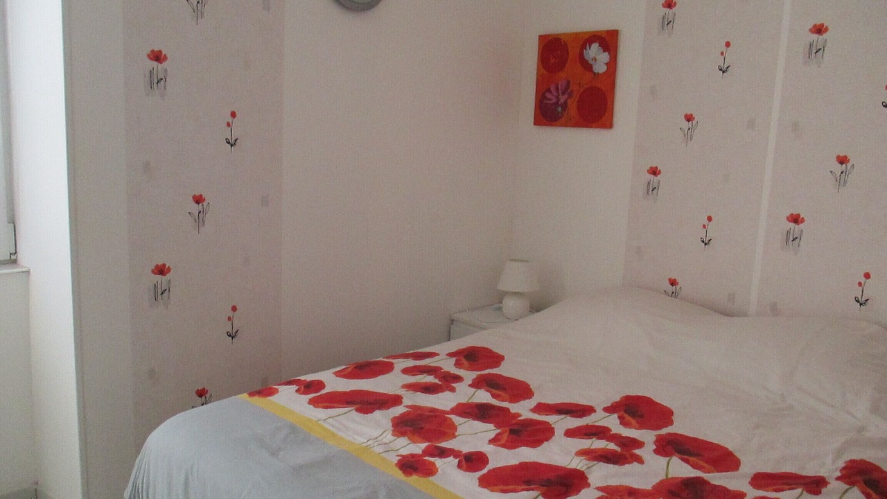 Photo of Others in Ingrandes-de-Touraine