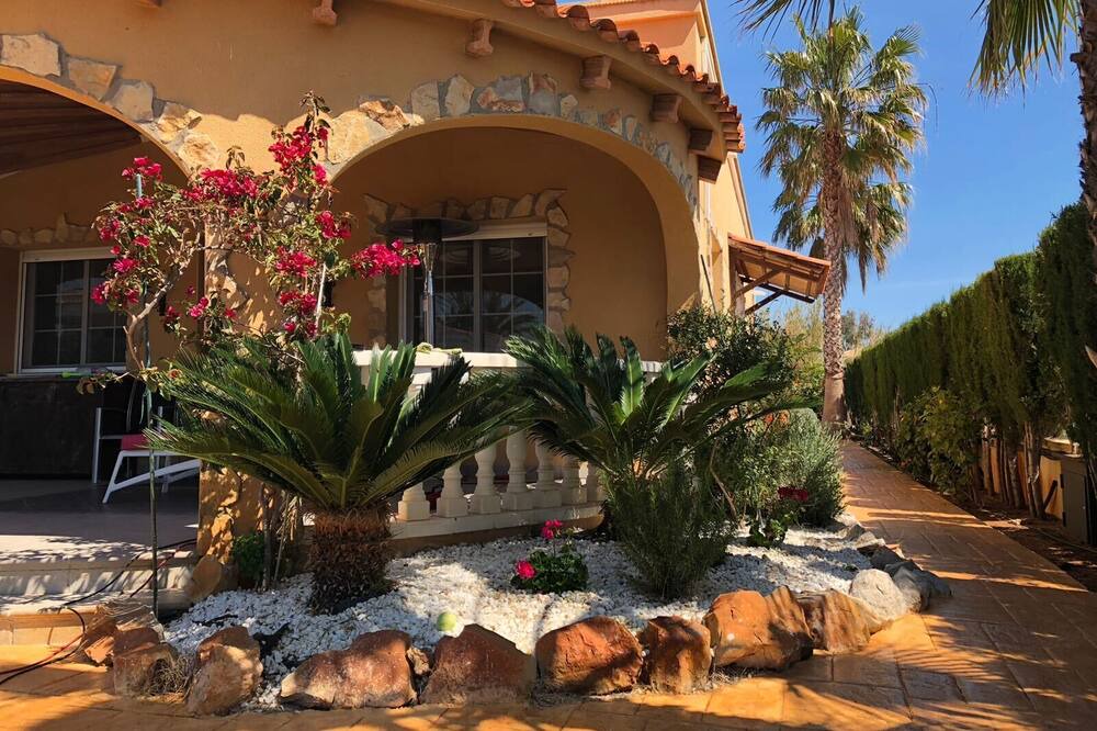 Photo of Outdoor in Oliva