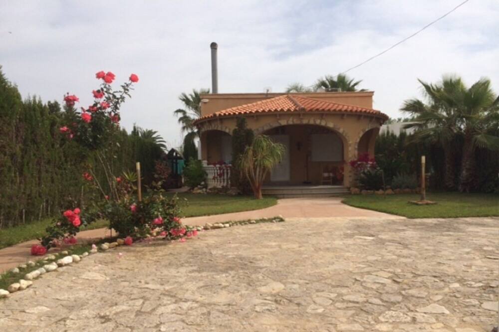 Photo of Outdoor in Oliva