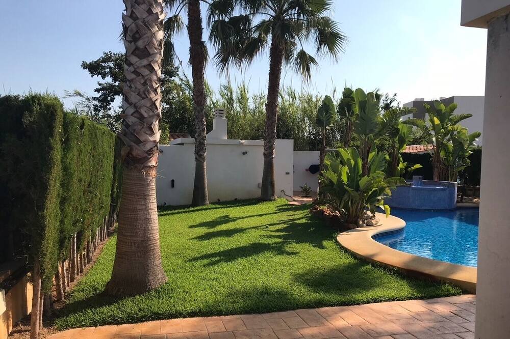 Photo of Outdoor in Oliva