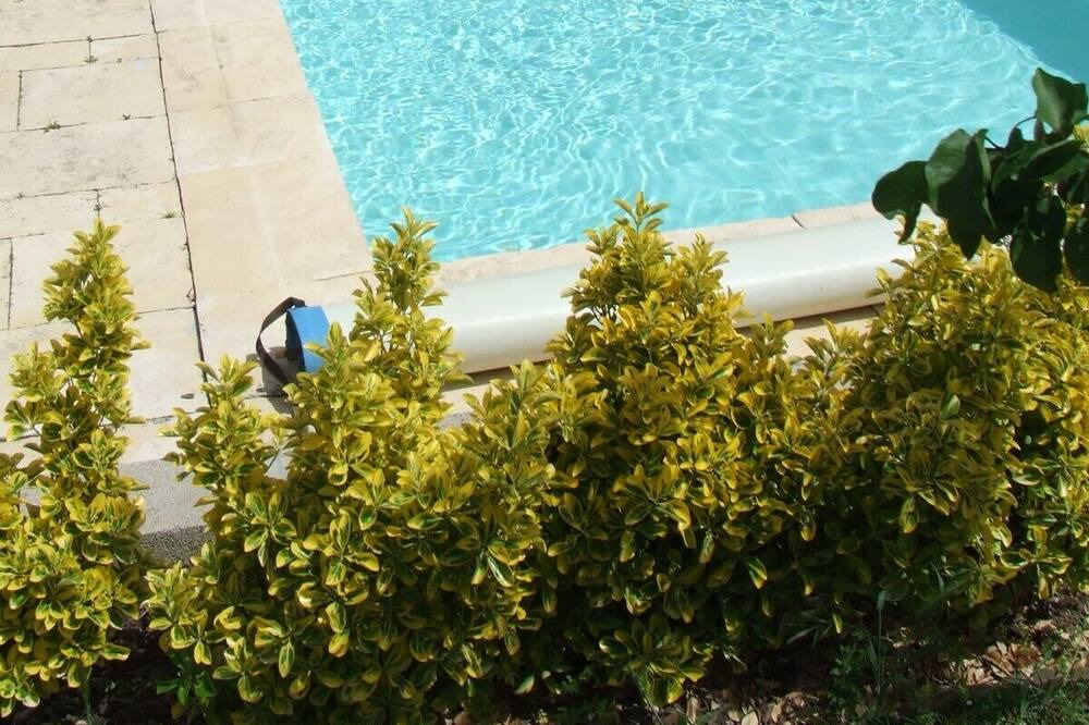 Photo of Outdoor in Carcassonne