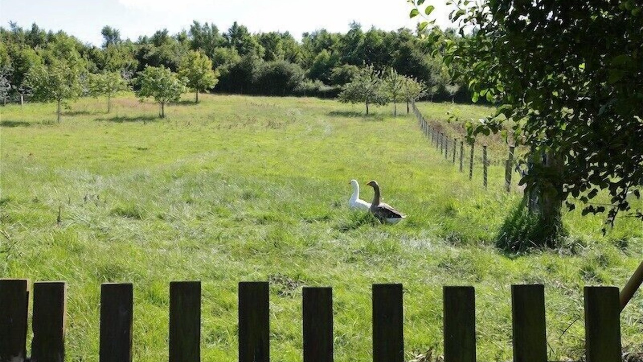 Photo of Others in Hervelinghen