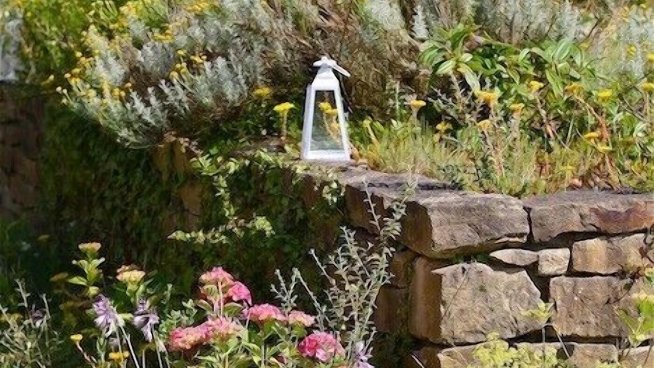 Photo of Outdoor in Hervelinghen