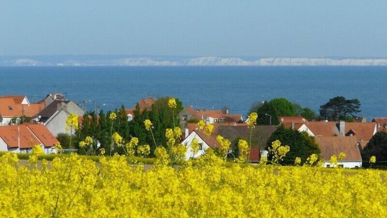 Photo of Others in Hervelinghen