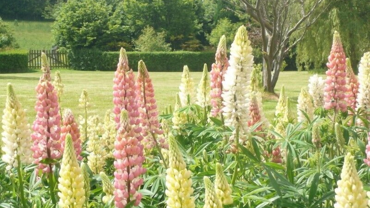 Photo of Outdoor in Hervelinghen