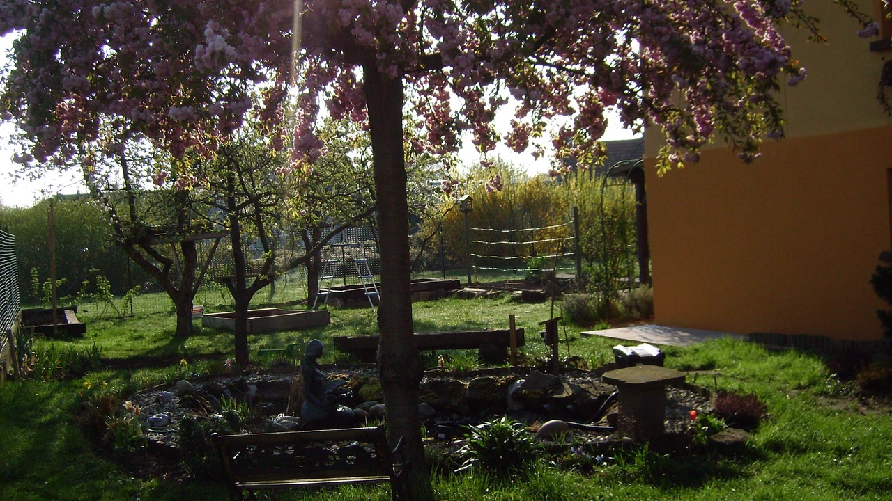 Photo of Outdoor in Monswiller