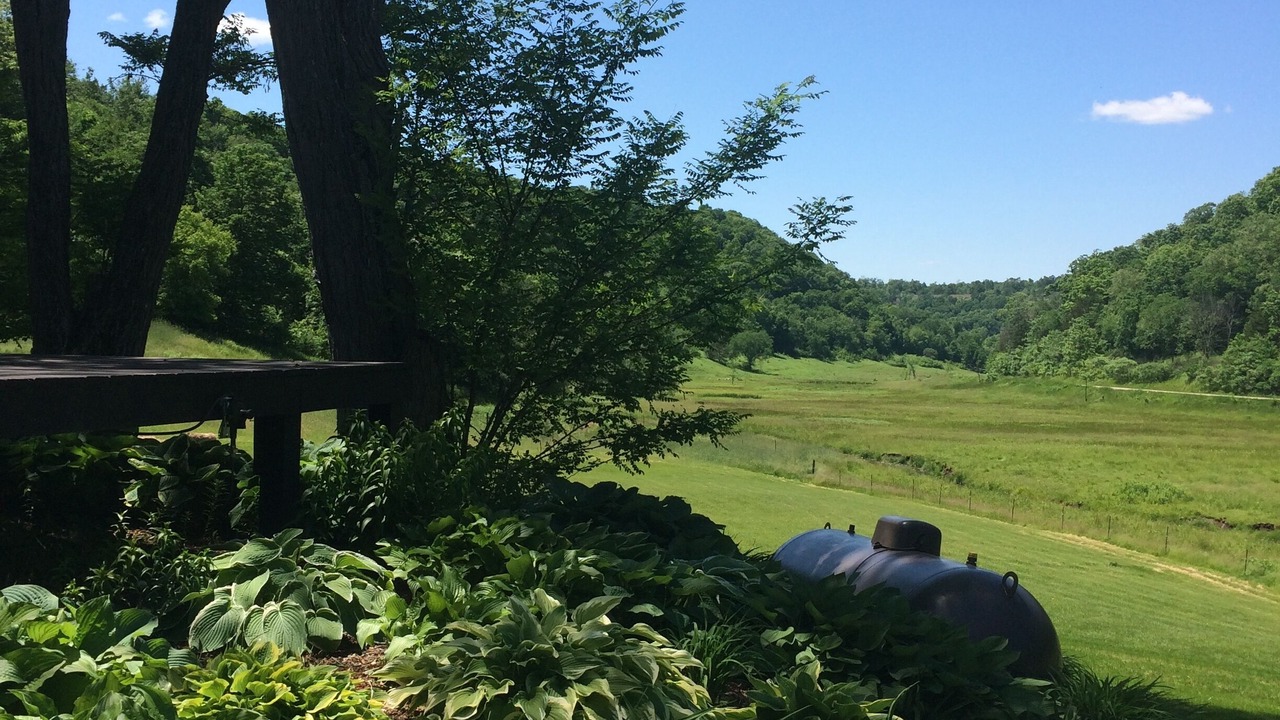 Photo of Others in Hillsboro