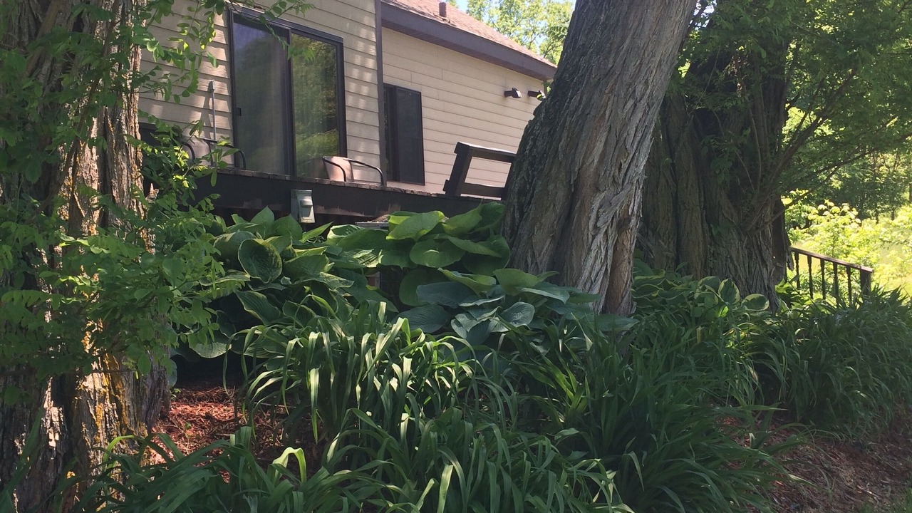 Photo of Outdoor in Hillsboro