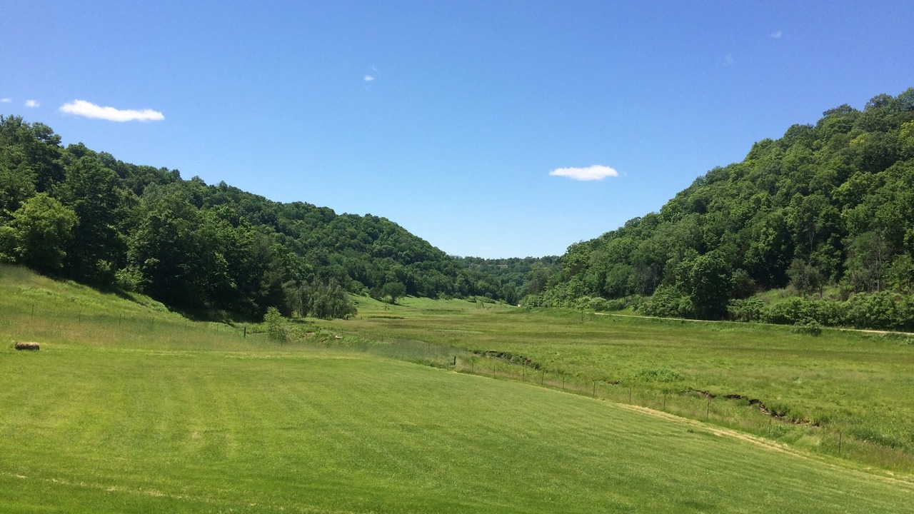 Photo of Others in Hillsboro