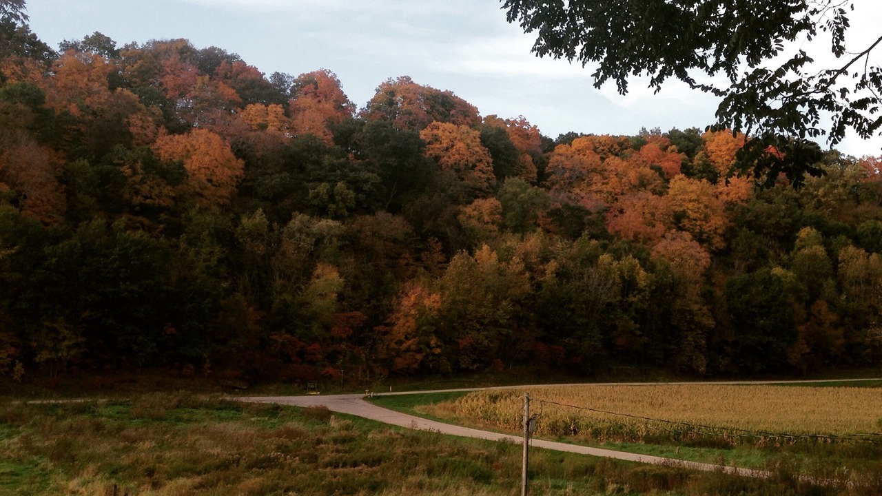 Photo of Others in Hillsboro