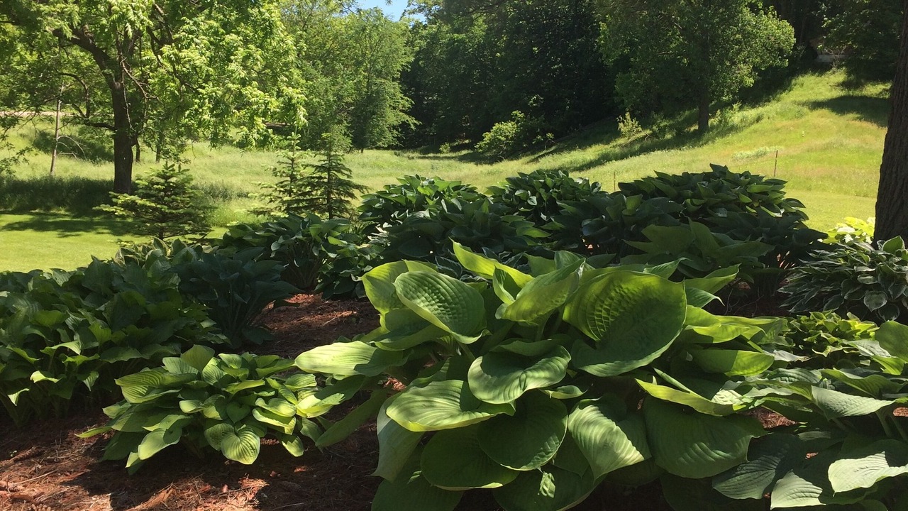 Photo of Outdoor in Hillsboro