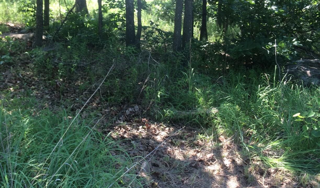 Photo of Outdoor in Skiatook