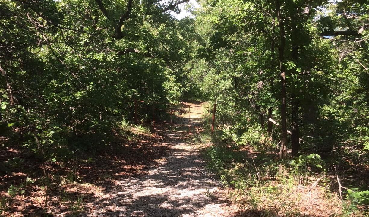 Photo of Outdoor in Skiatook