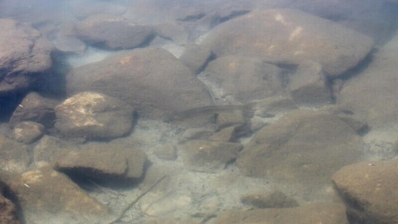 Photo of Others in Centennial