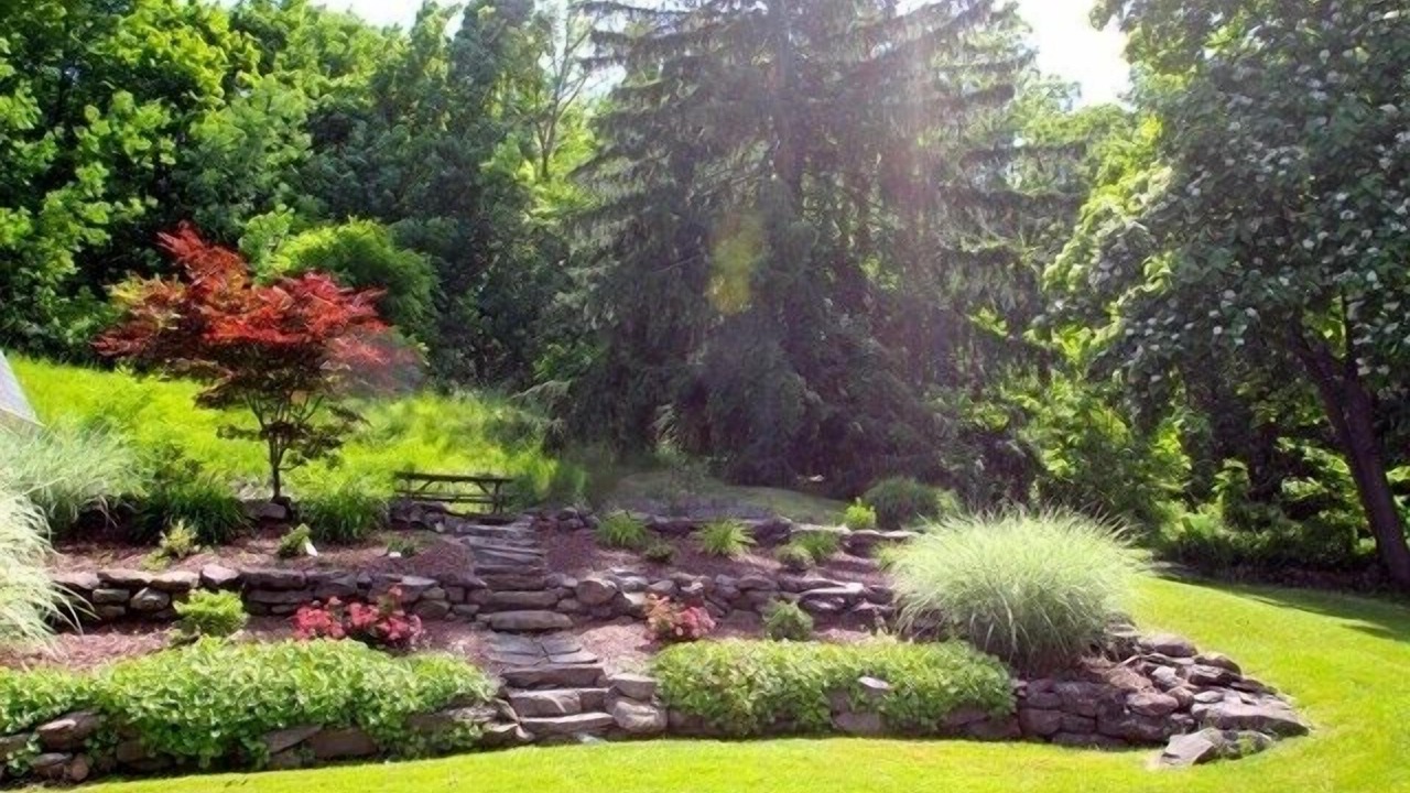 Photo of Outdoor in Fairport