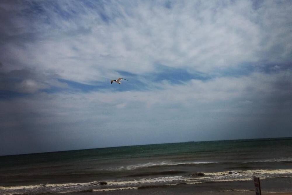 Photo of Others in Surfside Beach