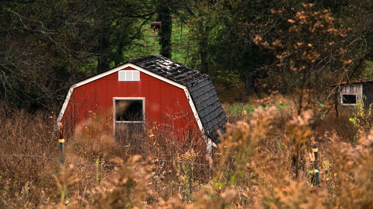Photo of Outdoor in Woodbury
