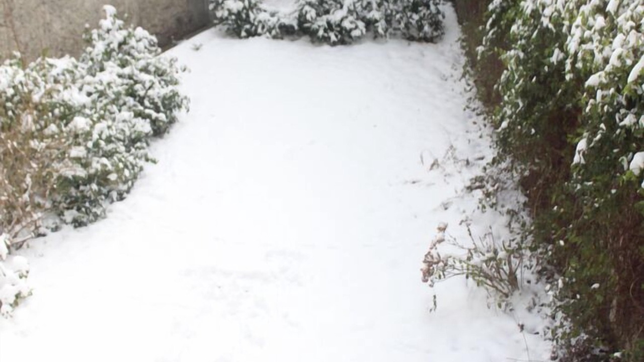 Photo of Outdoor in Quinze-Vingts