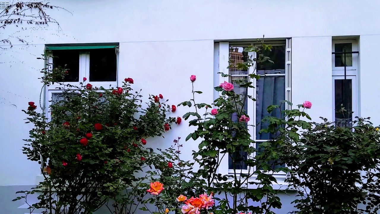 Photo of Outdoor in Quinze-Vingts