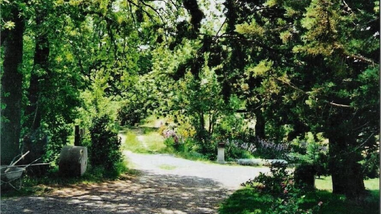 Photo of Outdoor in Saint-Julien-du-Puy
