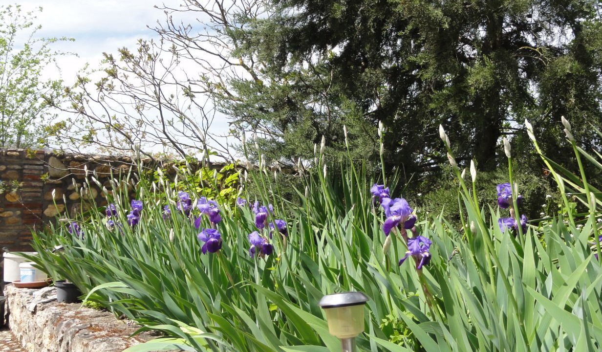 Photo of Outdoor in Saint-Julien-du-Puy