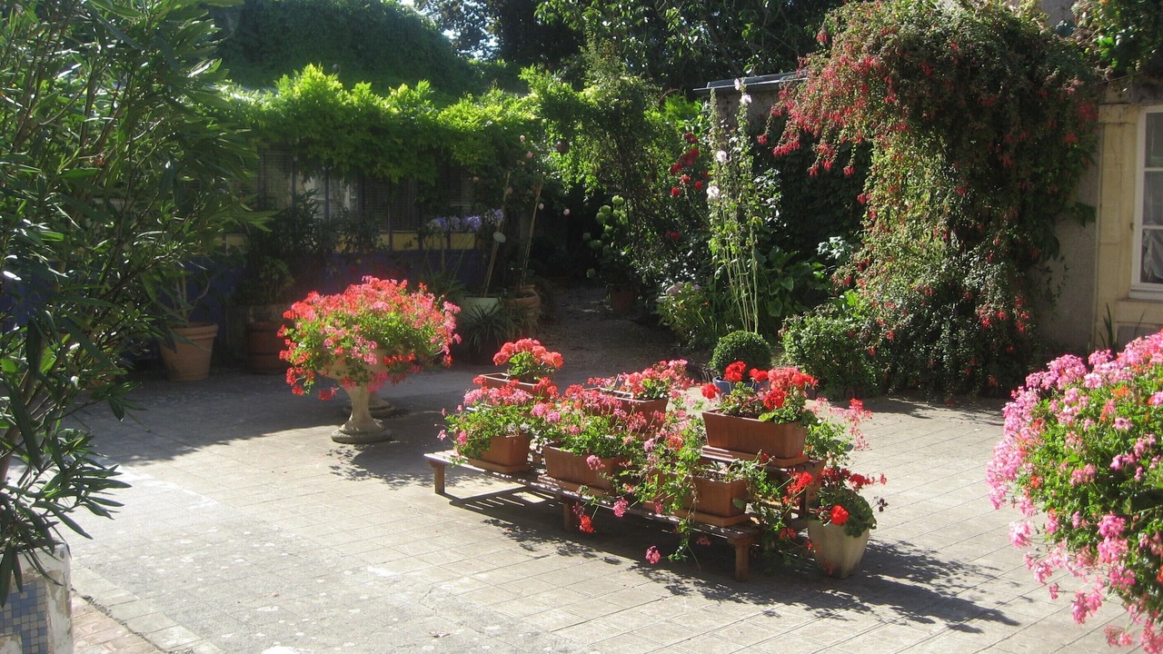 Photo of Outdoor in Luc-sur-Mer