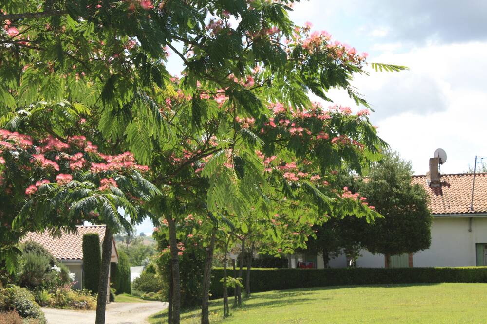 Photo of Outdoor in Lafrancaise