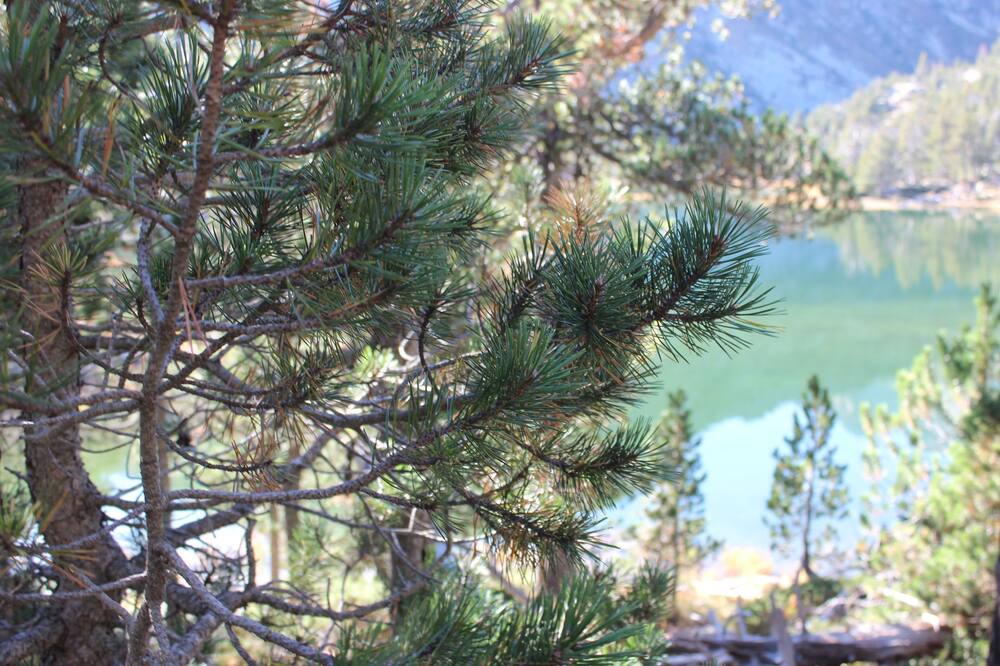 Photo of Outdoor in Saint-Lary-Soulan