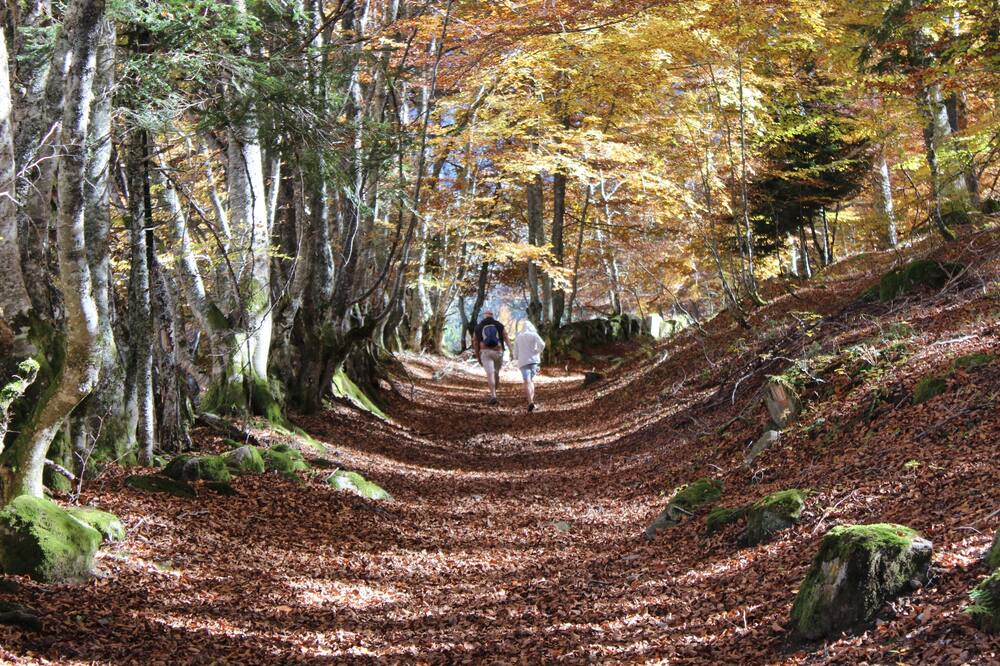 Photo of Outdoor in Saint-Lary-Soulan