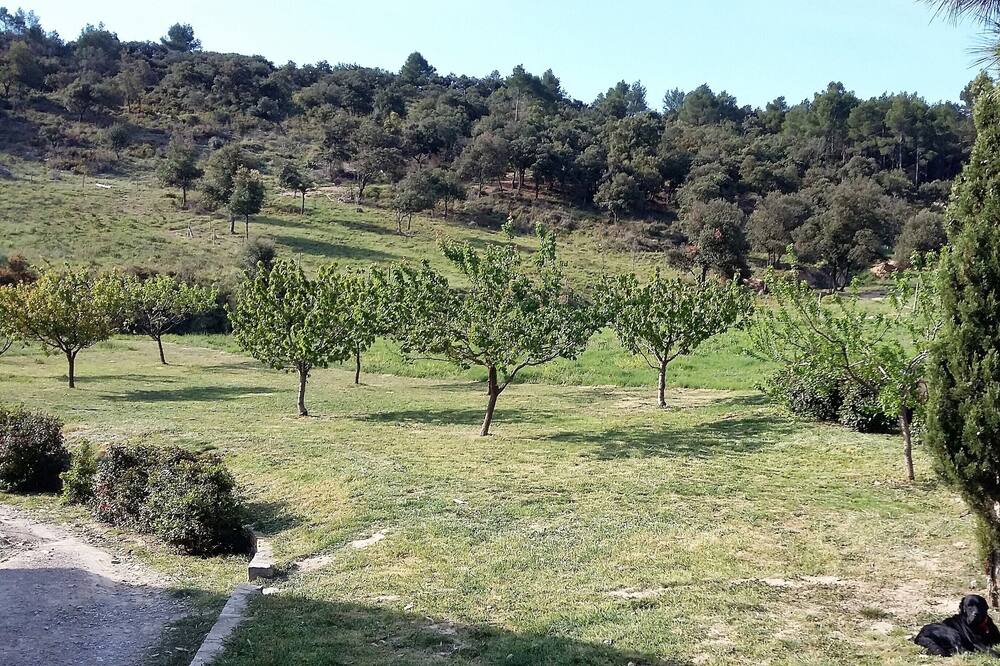 Photo of Outdoor in Paraza