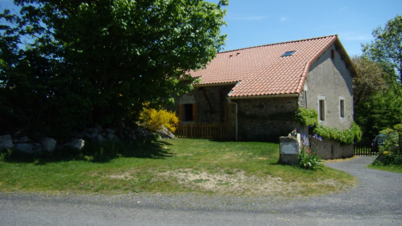 Photo of Outdoor in Felines