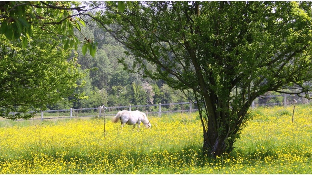 Photo of Outdoor in Boufflers