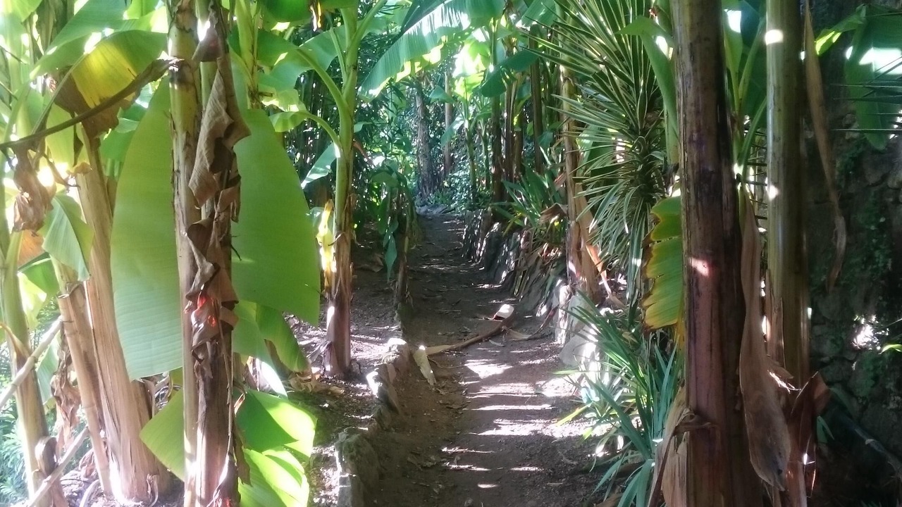 Photo of Outdoor in La Roque-Gageac