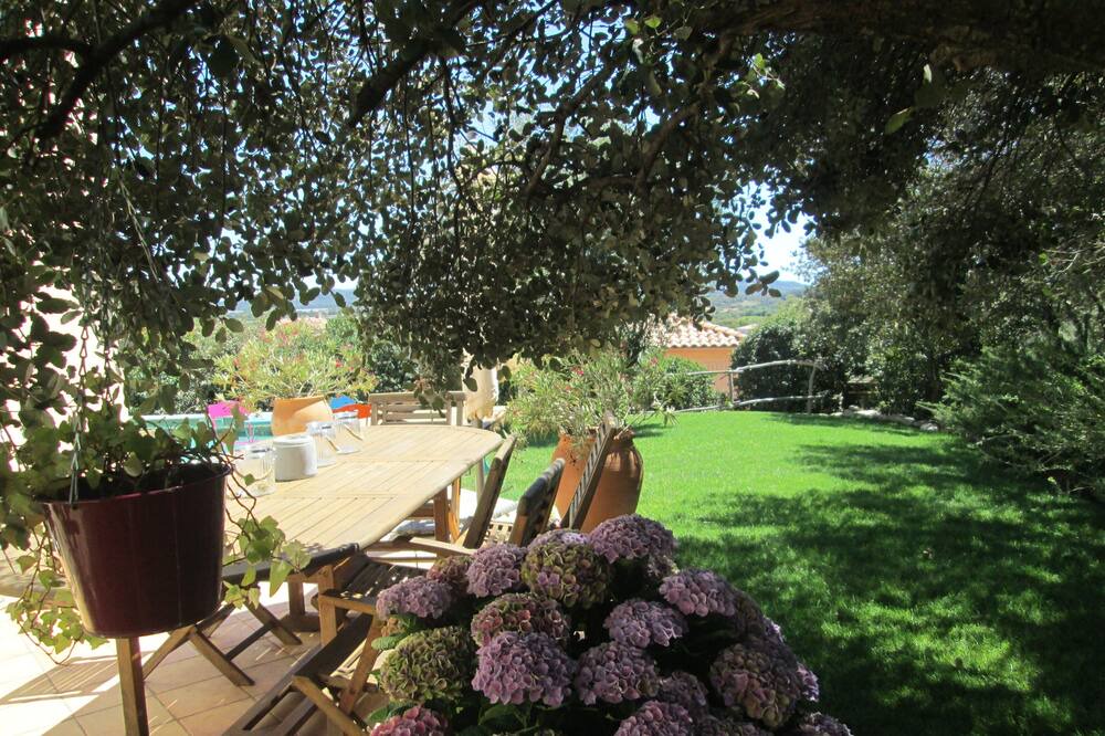 Photo of Outdoor in Cournonsec