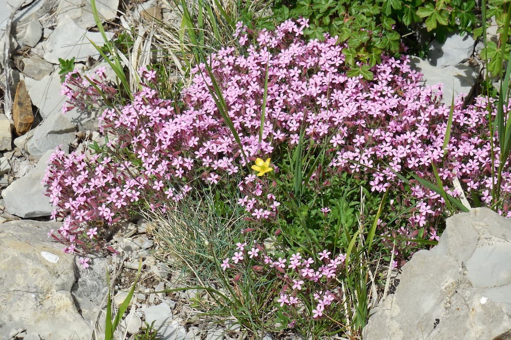 Photo of Outdoor in La Batie-Vieille