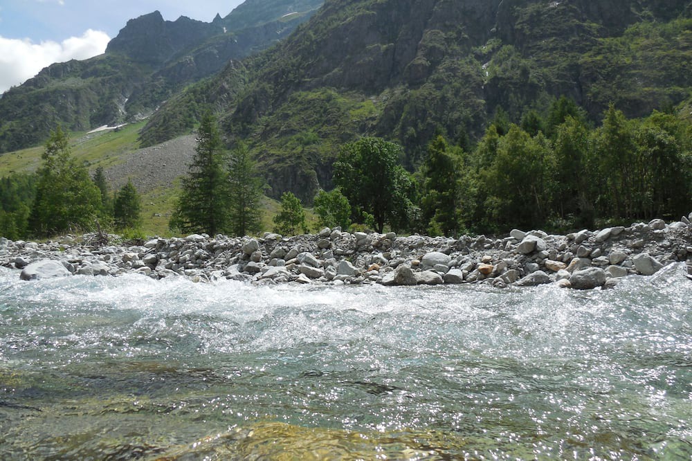 Photo of Others in La Batie-Vieille