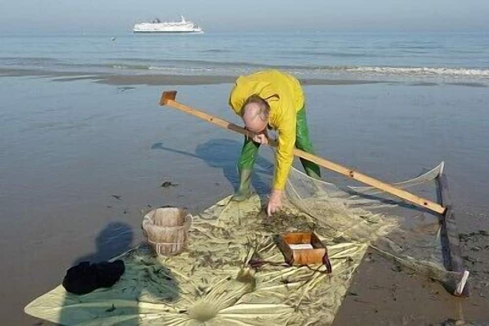 Photo of Others in Bleriot-Plage