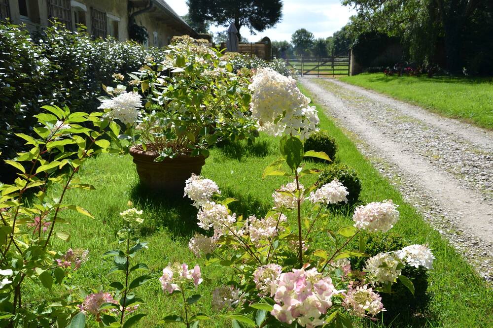 Photo of Outdoor in Sainte-Honorine-des-Pertes