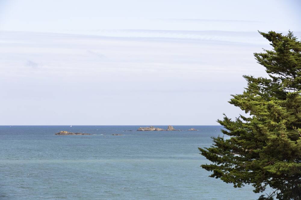 Photo of Others in Saint-Jacut-de-la-Mer