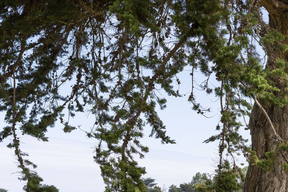 Photo of Others in Saint-Jacut-de-la-Mer