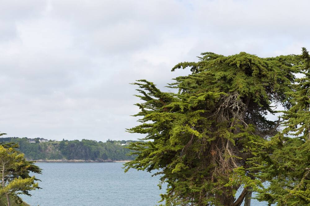 Photo of Outdoor in Saint-Jacut-de-la-Mer