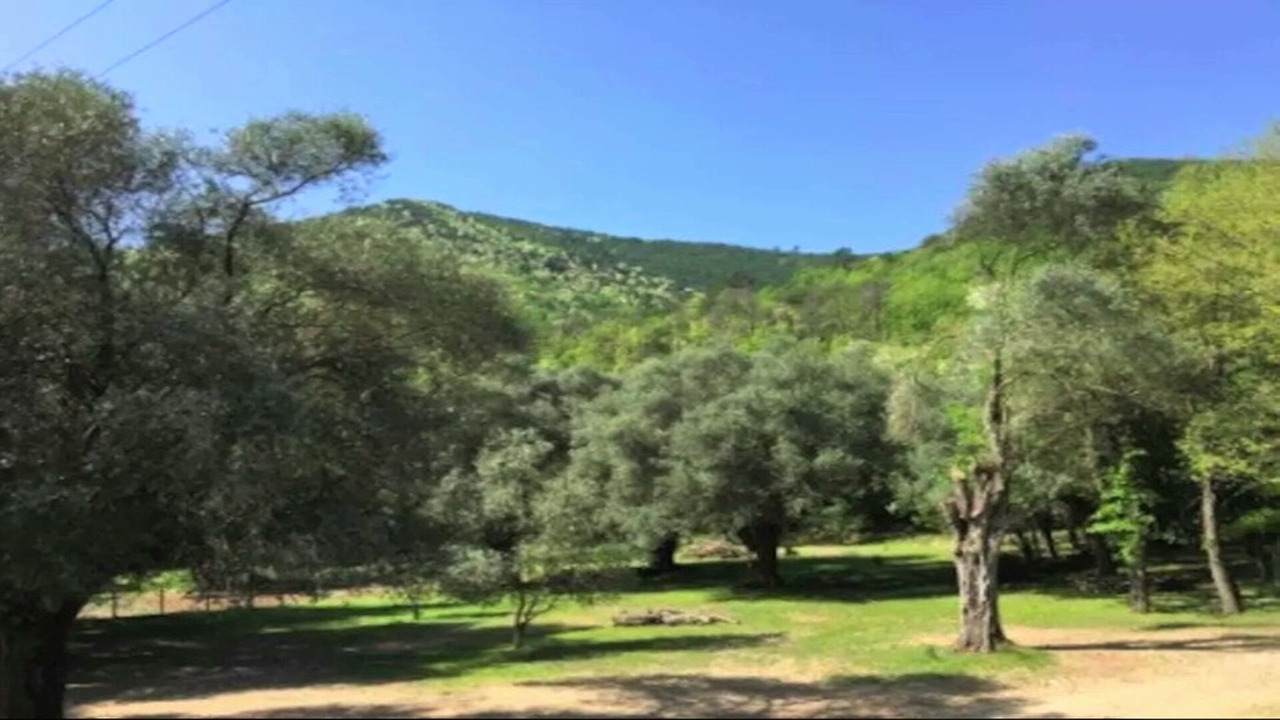 Photo of Outdoor in Corte