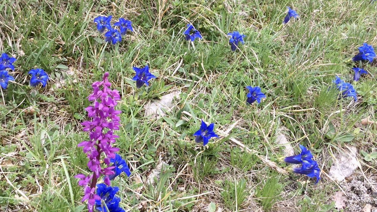 Photo of Outdoor in Roquefixade