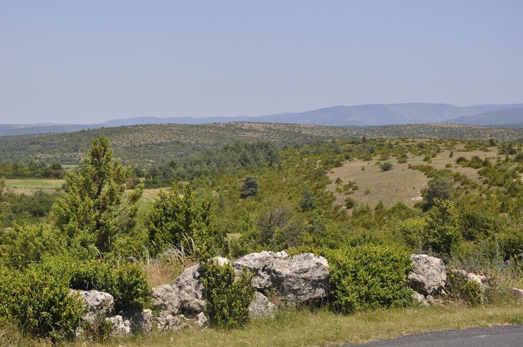 Photo of Others in Valleraugue
