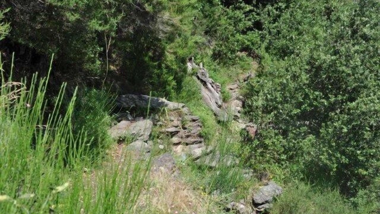 Photo of Outdoor in Valleraugue