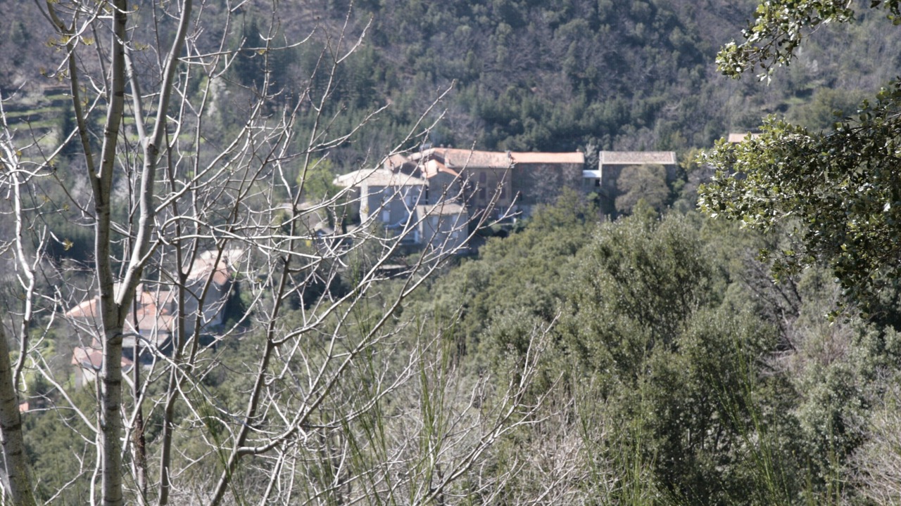Photo of Outdoor in Valleraugue