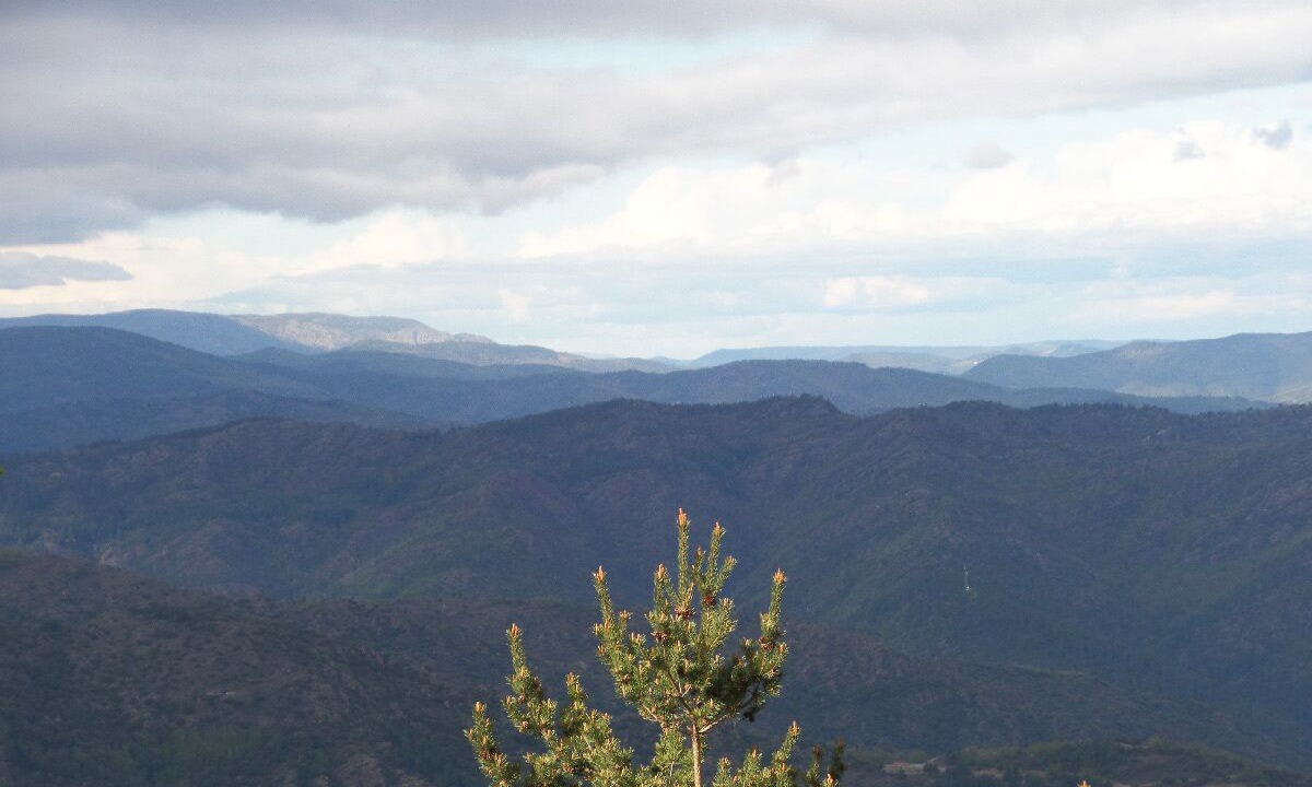 Photo of Outdoor in Valleraugue