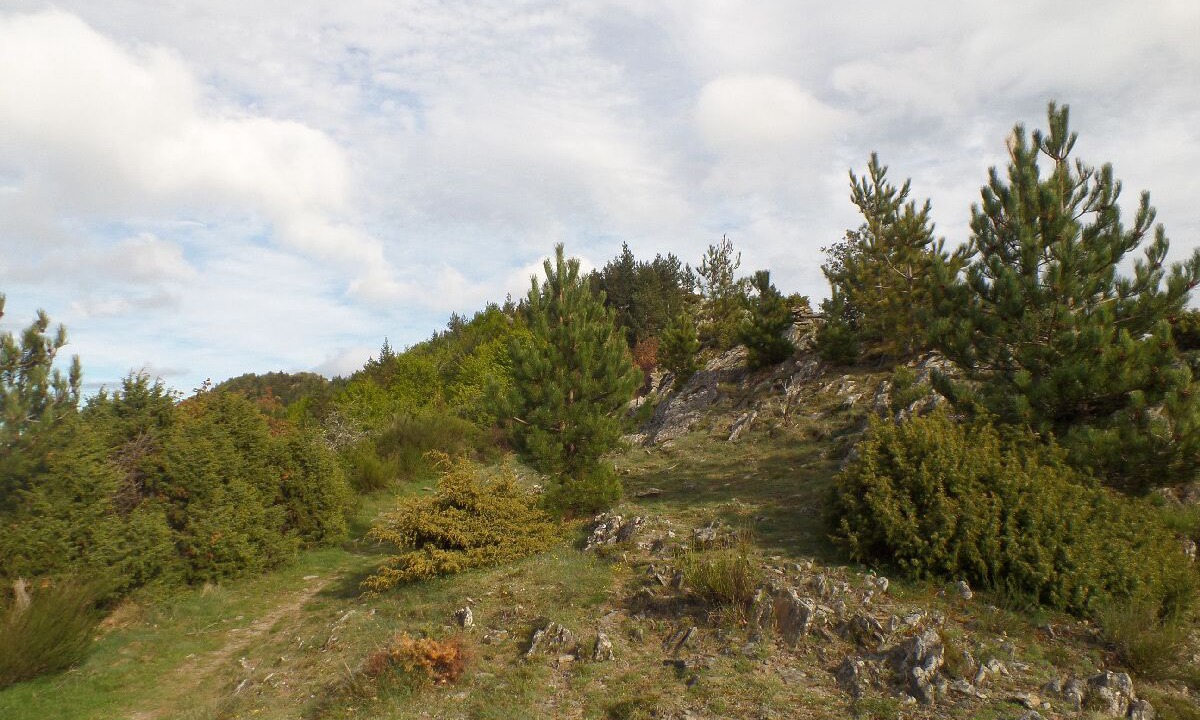 Photo of Outdoor in Valleraugue