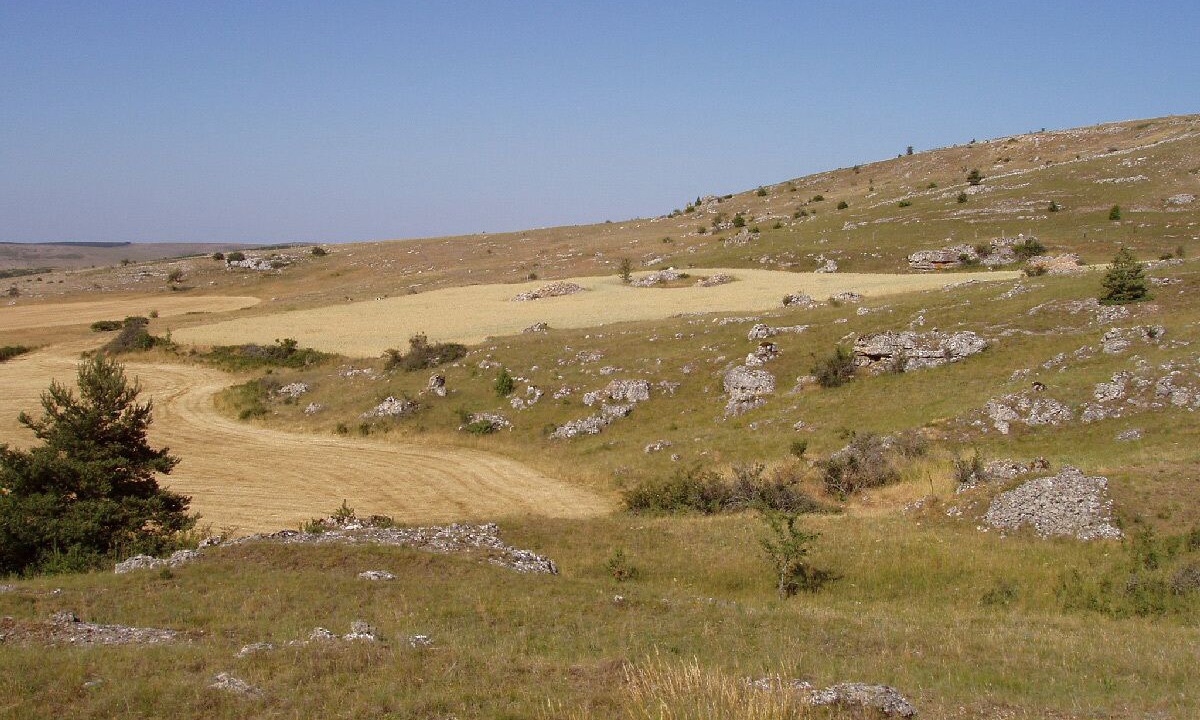 Photo of Others in Valleraugue