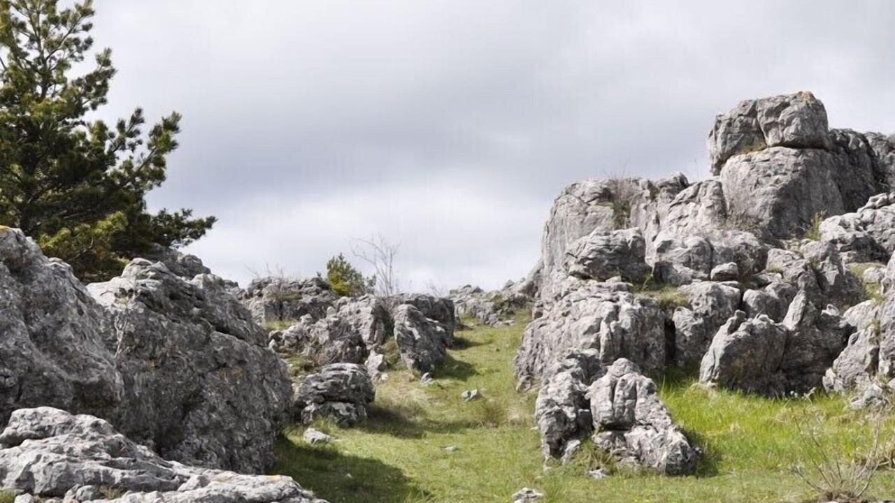 Photo of Outdoor in Valleraugue